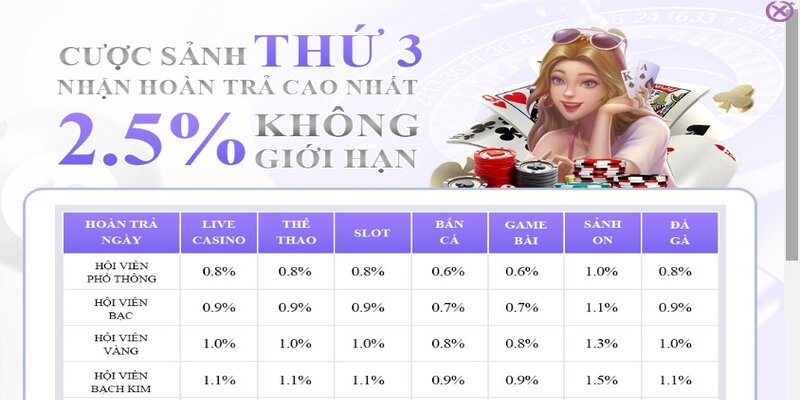 Sự kiện cược sảnh thứ 3 hoàn trả không giới hạn